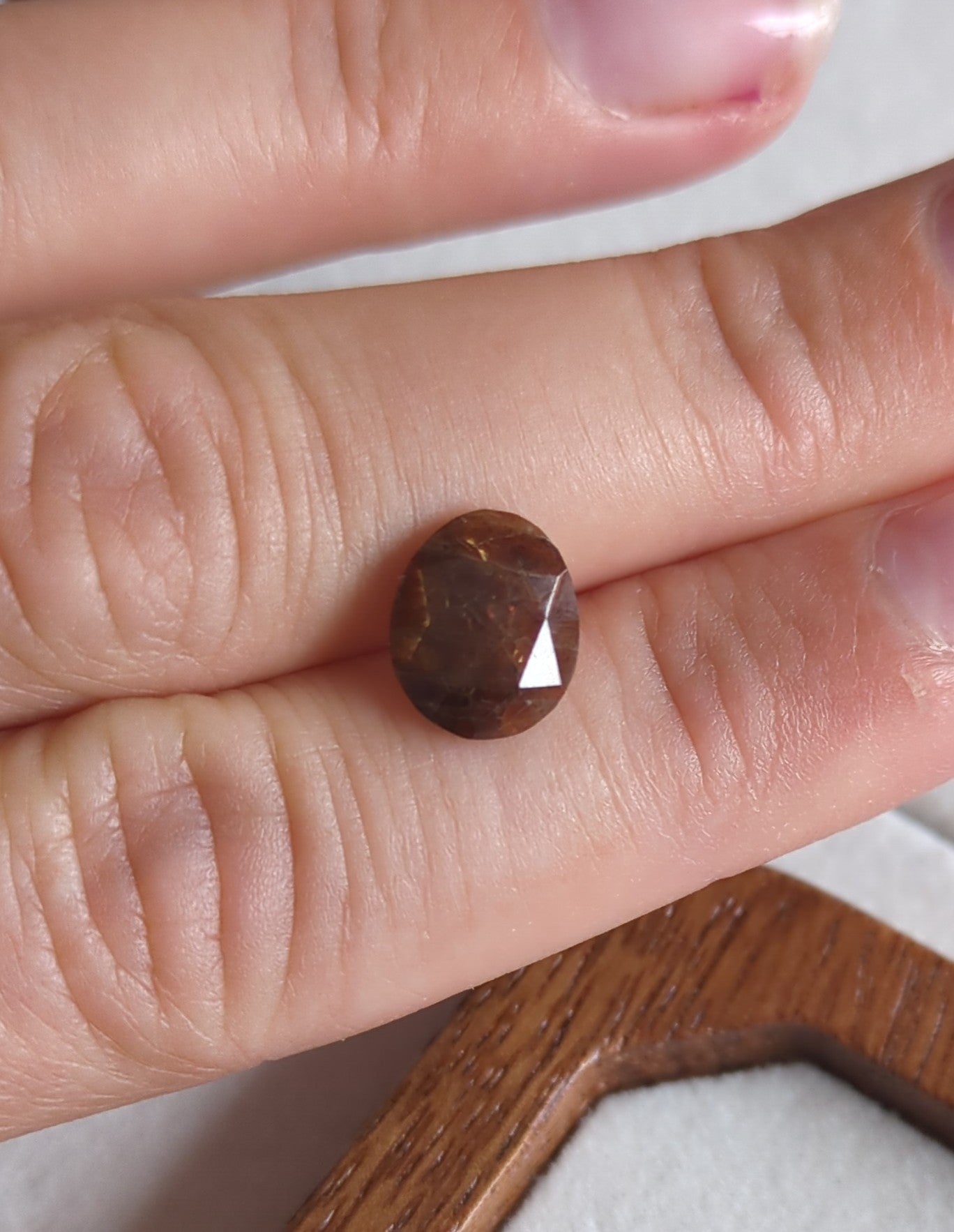 Safir m. report