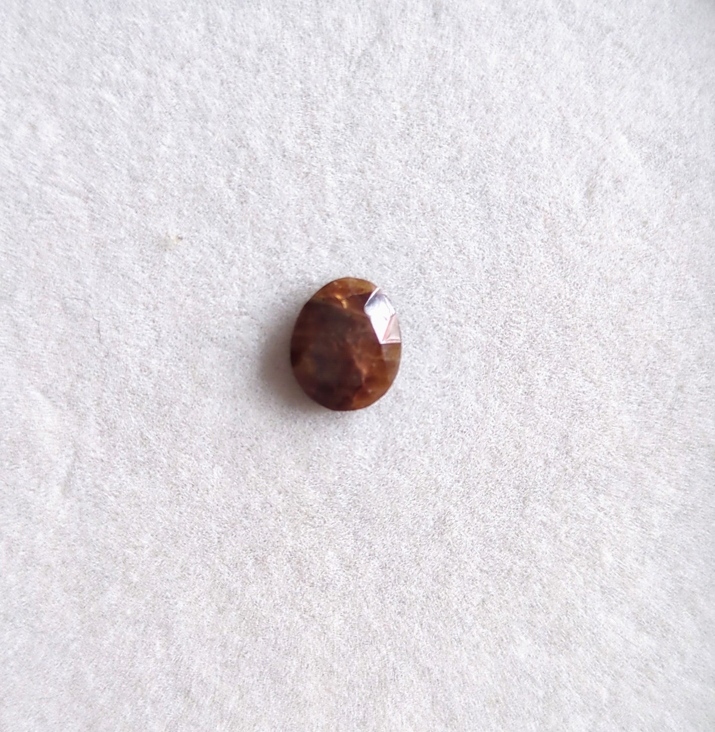 Safir m. report