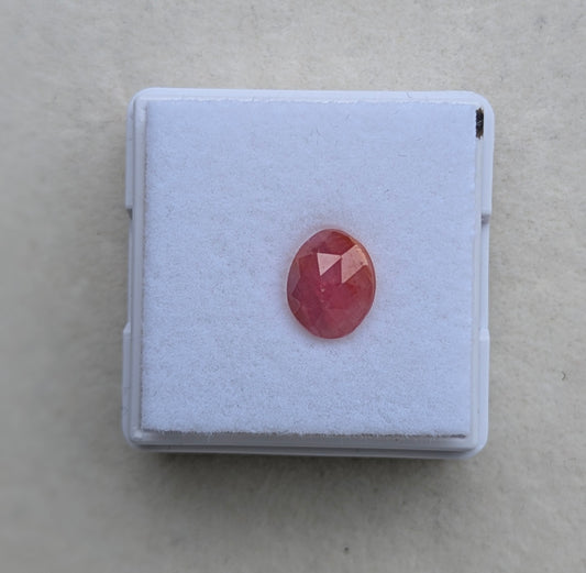 Safir m. report