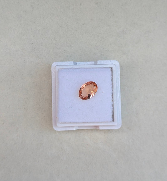 mermaid tanzanit (Agr test)